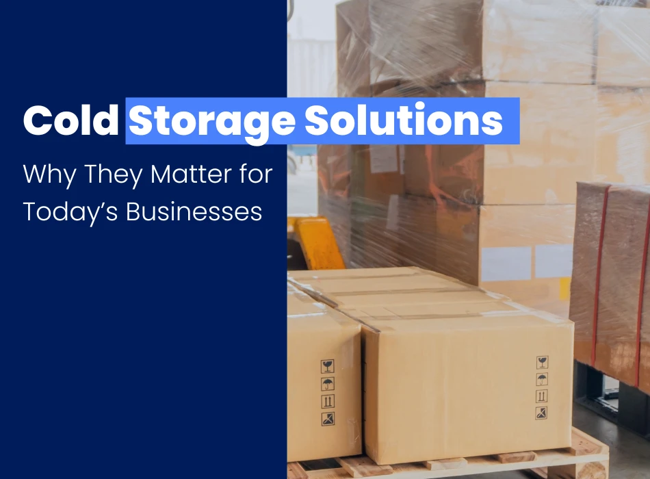 Cold Storage Solutions Why They Matter for Today’s Businesses