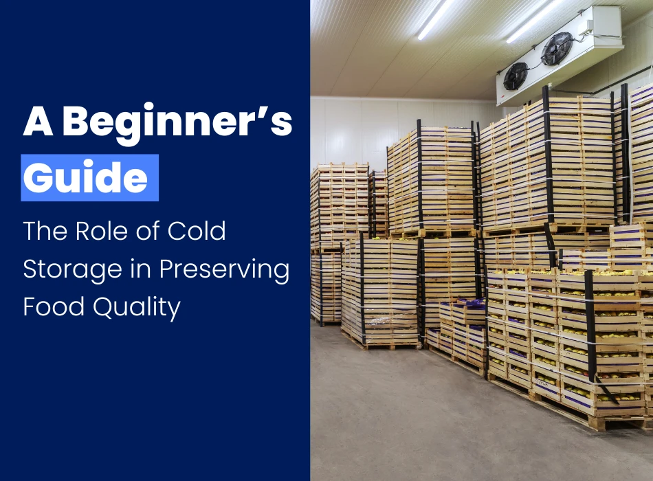 The Role of Cold Storage in Preserving Food Quality A Beginner’s Guide